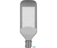 Светодиодный уличный консольный светильник Feron SP2924 100W
