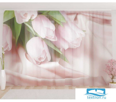 Художественный фототюль 290*260, 1 полотно Нежнейшие тюльпаны