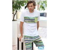 Бермуды с футболкой для мужчин Twisi Twisi_Toluca Зеленый 52