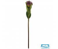 Цветок искусственный леукоспермум высота=68 см без упаковки