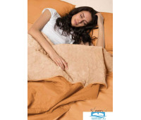 Набор Multi Set + Одеяло-покрывало 'Multi Blanket' Sleep iX 200x220 Ткань: Оранжевый, Мех: Рыжий + простыня 230x240, наволочки 50х70 (2шт), подушки 50х70 (2шт)