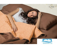 Набор Multi Set + Одеяло-покрывало 'Multi Blanket' Sleep iX 240x220 Ткань: Коричневый, Мех: Рыжий + простыня 230x240, наволочки 50х70 (2шт), подушки 50х70 (2шт)